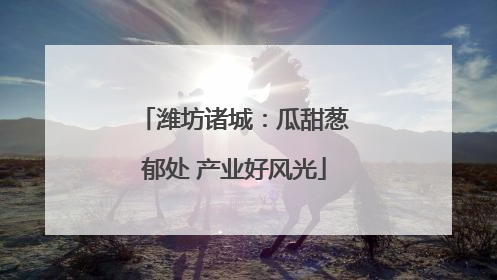 潍坊诸城：瓜甜葱郁处 产业好风光